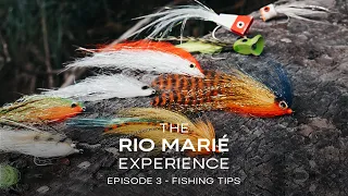 The Rio Marié Experience - Episode 3