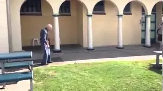 Funny old man kicks a venomous Eastern Australian Brownsnake right in the face! Must see! (Original)