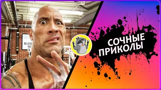 Funny Videos Лучшие приколы 2020. СМЕХ ДО СЛЕЗ. Best Coub №33