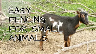 Setting up Goat Fencing in The Woods