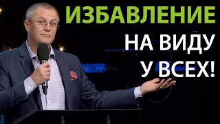 Избавление на виду у всех. Александр Шевченко