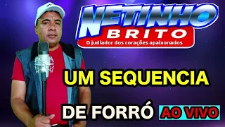 UMA SEQUENCIA DE FORRÓ BREGA DE LUXO Netinho Brito o Judiador Dos Corações Apaixonados