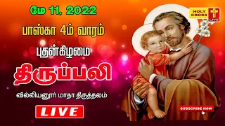 11 May 2022 Tamil Mass | Villianur Lourdes Shrine | Holy Cross Tv | Daily Tv Mass | Today Tv Mass
