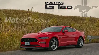SOLVED! Why Mustangs crash leaving cars and coffee feat 2020 Ford Mustang GT Premium