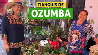 TIANGUIS DE OZUMBA