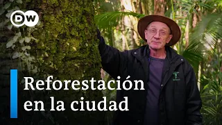 ¿Pueden los árboles paliar la crisis climática? | DW Documental