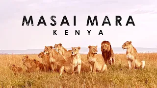 "MARAvelous" | A Masai Mara Short Film | By Dinesh Sekar