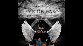 PURE NEGGA  X OTTO BEATS  AVE DE PASO