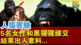 人猿實驗:5名女性為科學，和黑猩猩雜交！結果出人意料...