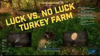 New World Luck Test Turkey Farm