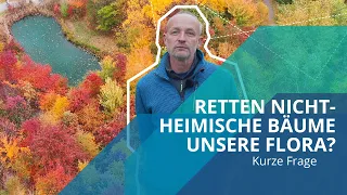 Gebietsfremde Bäume als Antwort auf den Klimawandel 🌳 | Kurze Frage an Dr. Ulrich Pietzarka