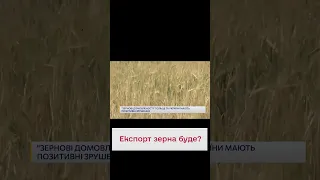 🌾 Позитивні зрушення! Зернові домовленості України та Польщі просунулися вперед