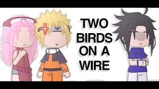 two birds on a wire【 GACHA MEME 】