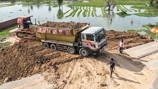 New Update Starting Operator Skills Bulldozer Moving The Soil In Water And Dump Truck Moving dirt