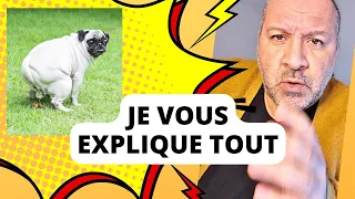 Un chien qui fait caca en ville : ça permet de gagner beaucoup d'argent ! 🐶💩💶