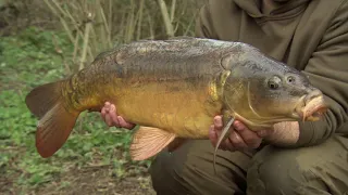 Korda Thinking Tackle Season 8: Ep2 Ali Hamidi & Darrell Peck fishing Farlows Lake | Carp Fishing