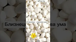 Какая ты королева по зз...💗