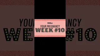 Week 10 Pregnancy   Baby Development