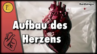 Aufbau des Herzen, Start des Kanals