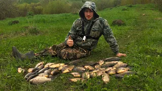 ОГРОМНЫЕ КАРАСИ в ЛУЖЕ на ПОПЛАВОК ВЕСНОЙ! ПОЙМАЛИ МЕШОК РЫБЫ, КАЙФОВАЯ РЫБАЛКА ! Рыбаки в шоке!