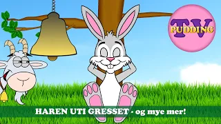 Haren uti gresset - og mye mer! | Barnesanger på norsk