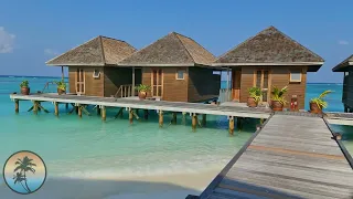 MEERU MALDIVES Resort 🌴🌴 | FULL Resort Visit | Long Walking TOUR | Vlog