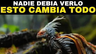 Criaturas ATERRADORAS Del Amazonas Filmadas En Cámara