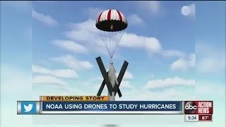 NOAA using droves to study hurricanes