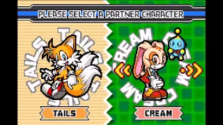 Sonic Advance 3 Team Names