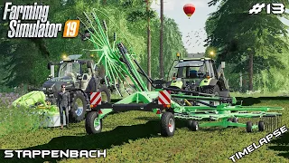 Mowing & windrowing with MrsTheCamPeR | Animals on Stappenbach | Farming Simulator 19 | Episode 13