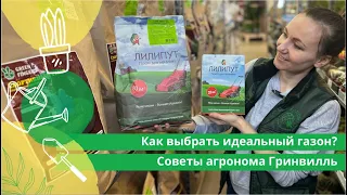 Как выбрать идеальный газон? Советы агронома Гринвилль.