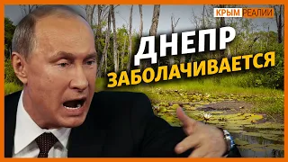 Украина перекрыла воду и заболачивается? | Крым.Реалии ТВ