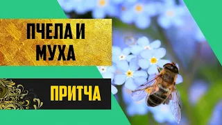 Притча "Пчела и муха"