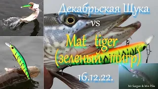 Декабрьская щука vs Mat tiger (зеленый тигр). 16.12.2022.