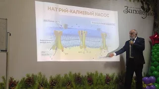 Натрий Калиевый насос  прфессор Подхомутников В М