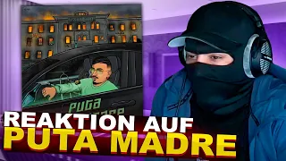 Skandal reagiert auf Puta Madre