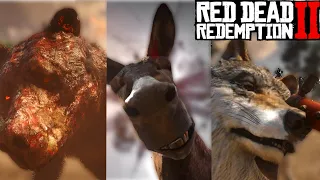 Kill ANIMALS in different BRUTAL WAYS - Red Dead Redemption 2
