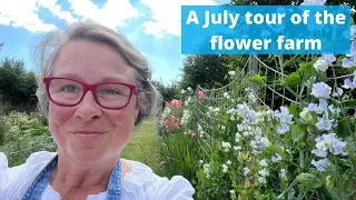 July tour of the flower farm to show what we have growing