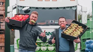 Wij peren ‘m met Groda A.G.F. naar de reusachtige Stena Line Ferry. 🍎🍐