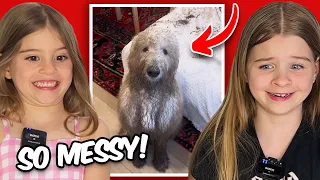 Funny Animals Making HUGE MESSES🤦 😂 (Try Not To Laugh😂 )