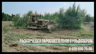 Раскорчевка заросшего сельхоз поля бульдозером