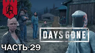 Жизнь после►Days Gone►Прохождение #29 Финал Лизы и секрет О'Брайана