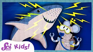 How Sharks Find Food With Electricity! | Amazing Animal Senses | SciShow Kids