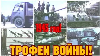 1943  ГОД! ТРОФЕИ ВЕЛИКИХ БИТВ!