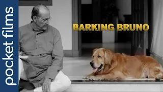 Barking Bruno | A Modern Family's Tale of Transformation | Hindi Touching Short Film