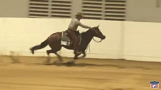 2023 Quarter Horse Congress Open Reining Finals Brian Bell on Wimpy Voodoo