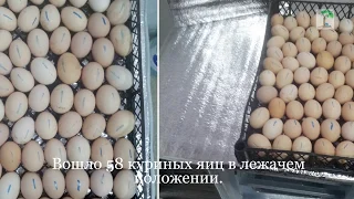 Инкубатор из пенопласта за выходные. Самостоятельно. 4-я часть. DIY Homemade Incubator(Part 4)