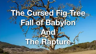 Parable of the Cursed Fig Tree and the Rapture