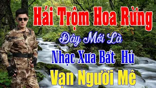 Hái Trộm Hoa Rừng, Hai Lối Mộng ...Liên Khúc Rumba Hải Ngoại Vượt Thời Gian, Đắm Say Bao Thế Hệ