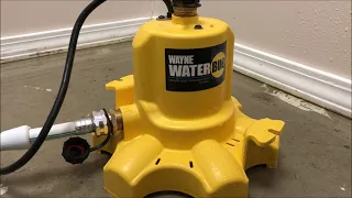 Wayne WaterBug water pump review and tips